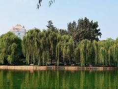 -团结湖公园