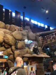 -卡通尼·Safari非洲探索乐园·生日会(金桥国际商业广场店)