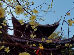 -钱王祠