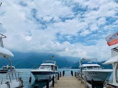 -金盆阿嬷香菇茶叶蛋(玄光店)