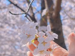 -龙美术馆(西岸馆)