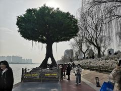 -咸阳湖景区