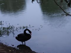 -瑶湖郊野森林公园