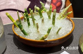 Panda Climbing Bamboo Shoots