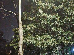 -闪电修企业手机电脑回收(西湖风景名胜区店)