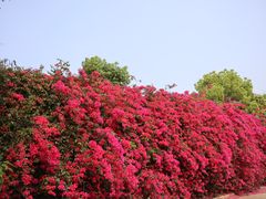 -厦门国家会计学院