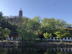 -焦山风景区