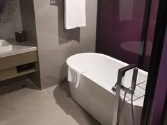 -南京禄口机场雅高铂尔曼大酒店