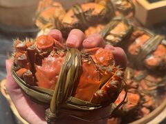 -雍容荟帝王蟹活龙虾展台自助(IFS黑金店)