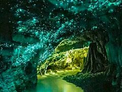 -怀托摩萤火虫洞