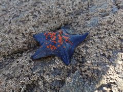 -青岛银沙滩