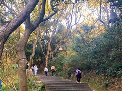 -普陀山风景区-佛顶山