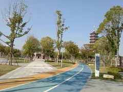 -葛仙湖公园