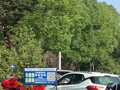 -苏州上方山国家森林公园