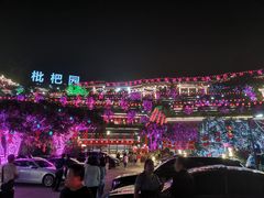 -枇杷园食为鲜火锅(南山店)