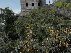 -台州府城(江南长城)