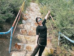 -五龙城郊森林公园
