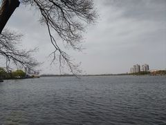 -金银湖国家城市湿地公园