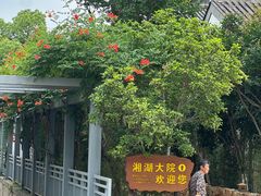 -湘湖大院(越王路店)