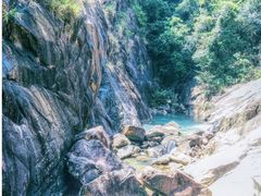 -广州白江湖森林公园