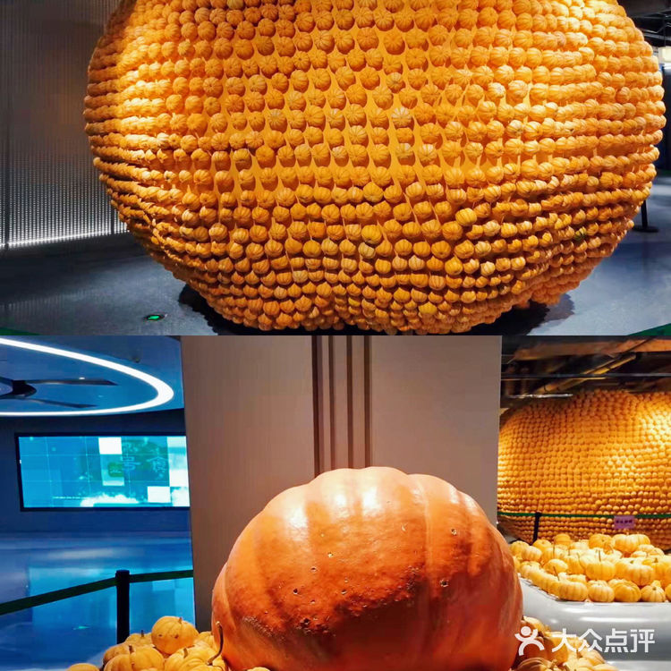 广州花城汇🌶亲子活动科技农场🥬农都里
