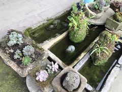-海窝子古镇
