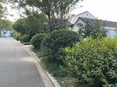-张家港凤凰山景区恬庄古街