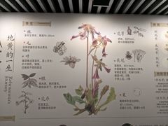 -北京中医药大学-中医药博物馆