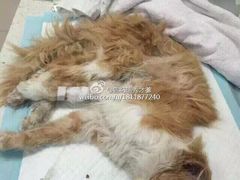 盛京一禾-盛京一禾