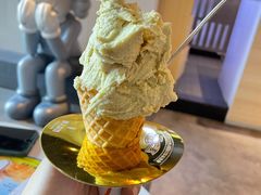开心果-野人牧坊Gelato(天津南开大悦城店)