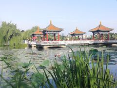 -长春市南湖公园