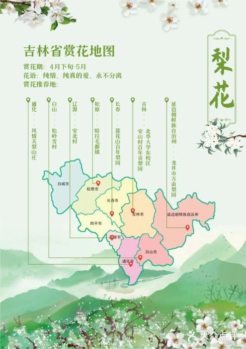 长春公园(普阳街道)图片