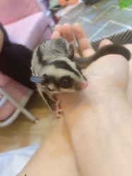 -摩瘦纤体订制减肥