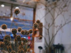 -甜莺蛋糕(顺盈时代广场店)