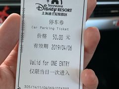 -迪士尼乐园停车场