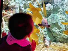 -福州罗源湾海洋世界旅游区