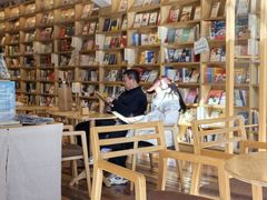 -猫的天空之城概念书店(束河店)