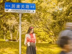 -八大关景区