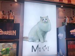 -猫先生时尚火锅(桂平路店)