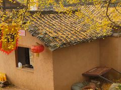 -千年银杏谷文化旅游区