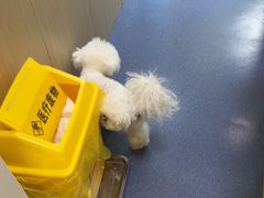 -瑞鹏宠物医院·爱宠堂(环西分院)