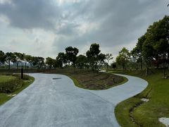 -春花秋色城市公园