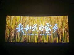 -CGV影城(东方广场4DX店)