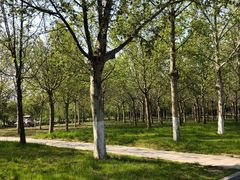 -山东师范大学(千佛山校区)