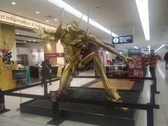 -中部国际机场