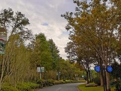 -上海怡沁园度假酒店