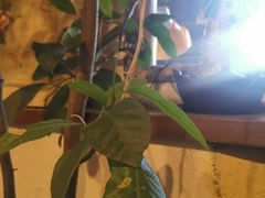 -斯多格书乡(北京大学畅春园店)