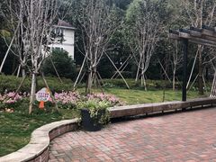 -老上海弄堂菜馆(恒基名人购物中心店)