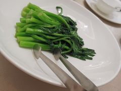 -食神鱼头佛跳墙(百子湾旗舰店)