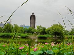 -西海子公园